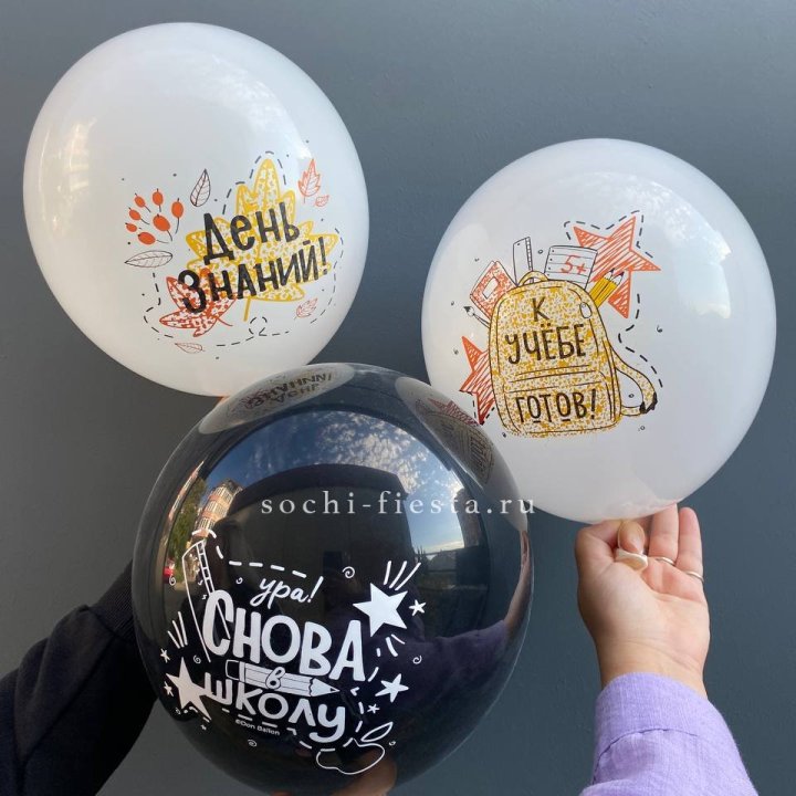 Воздушный шар к 1 сентября в Элисте