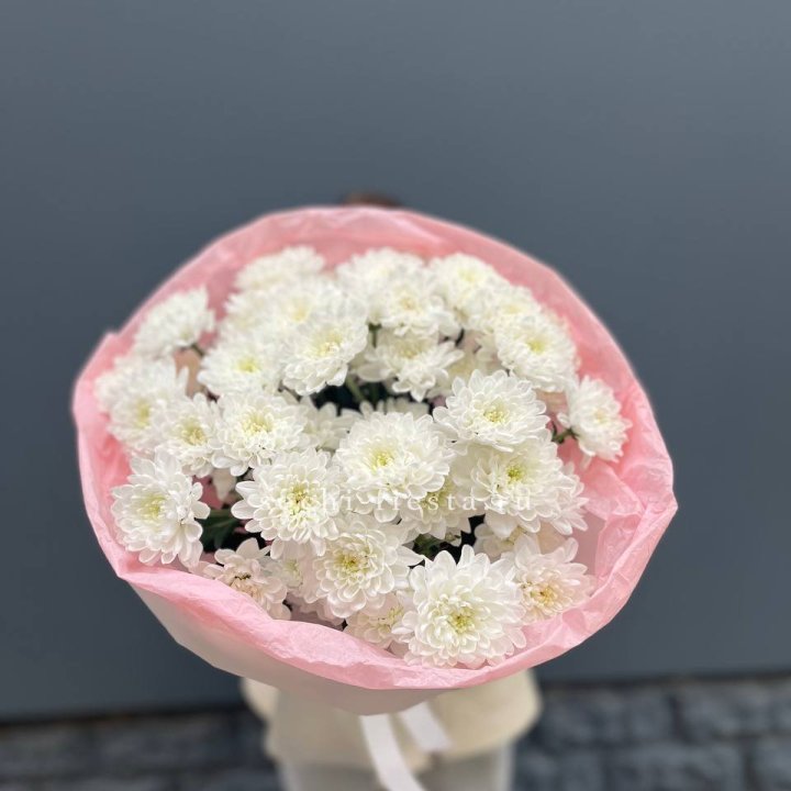  5 хризантем  с доставкой в Элисте