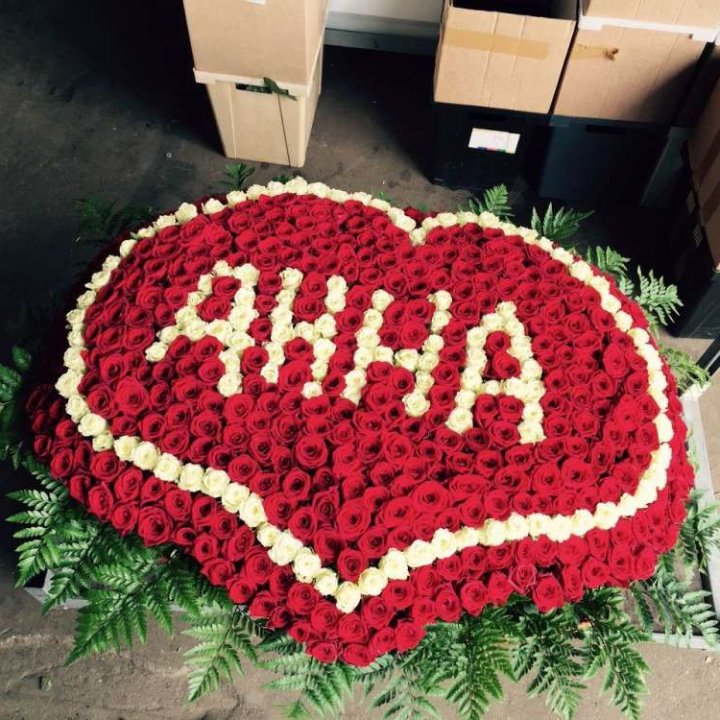 555 роз с именем в Элисте
