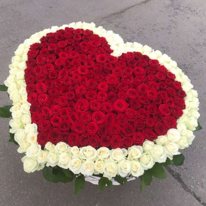 333 розы в корзине в Элисте