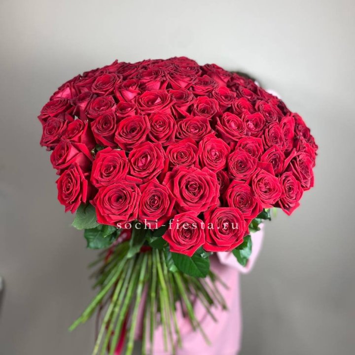 101  голландская роза  в Элисте