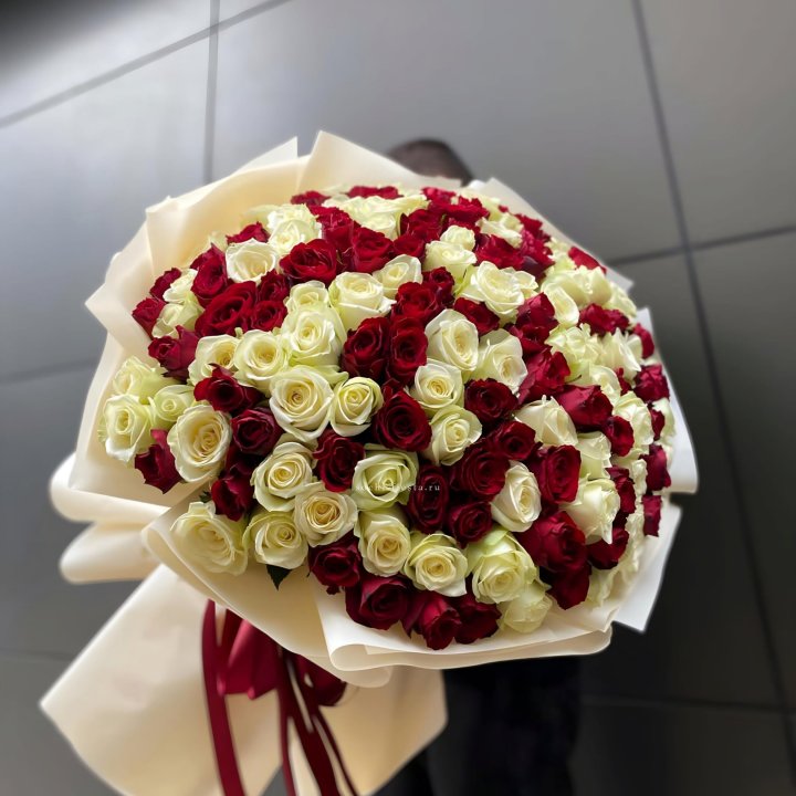 101 высокая импортная роза  в Элисте