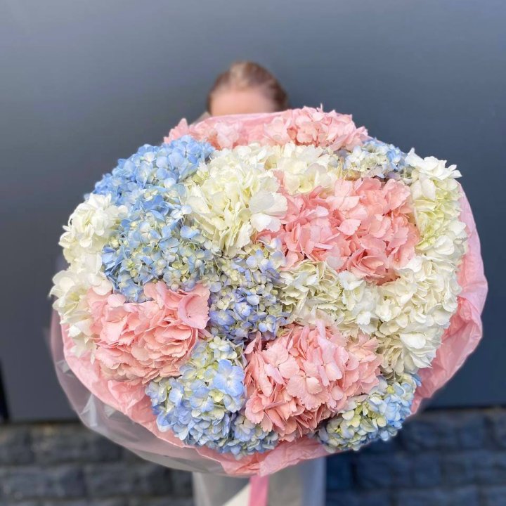 19 гортензий микс в Элисте