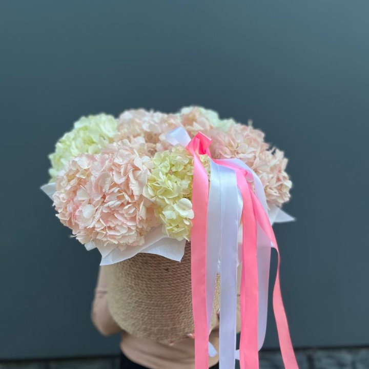 7 гортензий в кашпо в Элисте