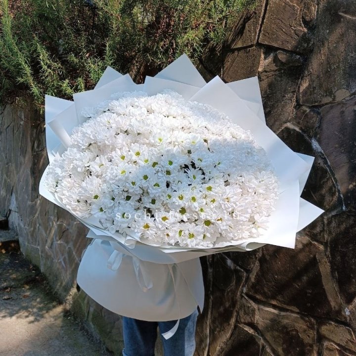 Облако хризантем №2 в Элисте