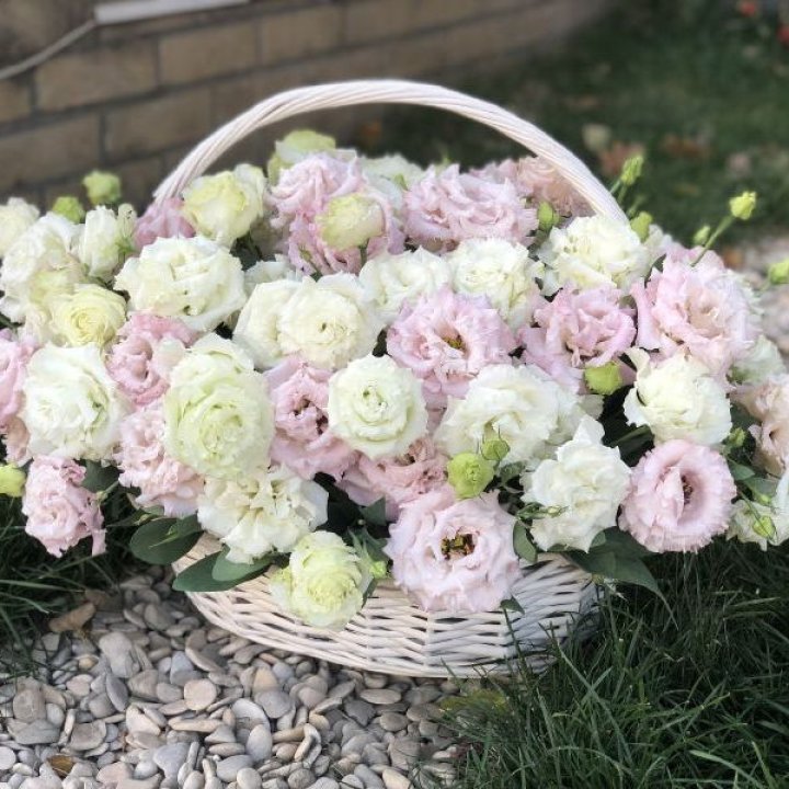 Корзина с эустомой в Элисте