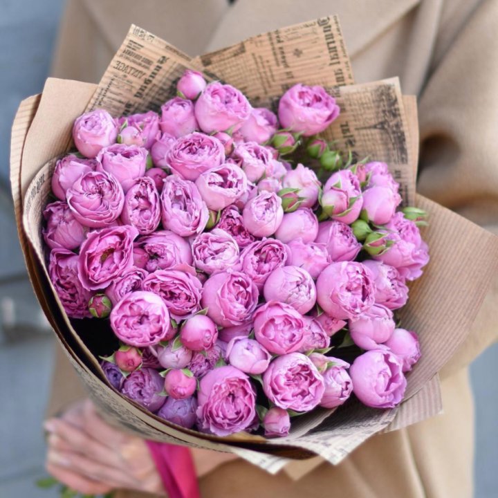 Роза Мисти Баблс в Элисте