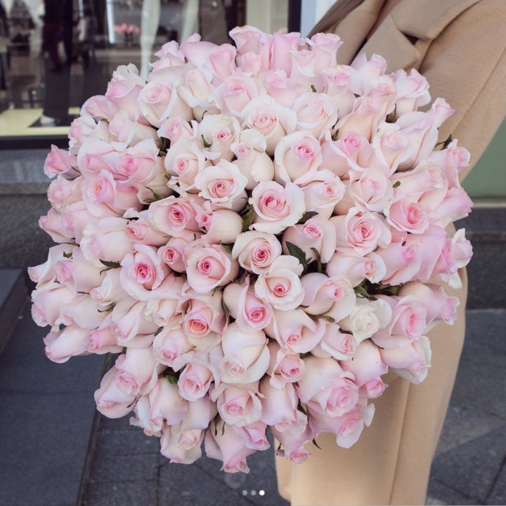 Розы "Пинк бум" в Элисте