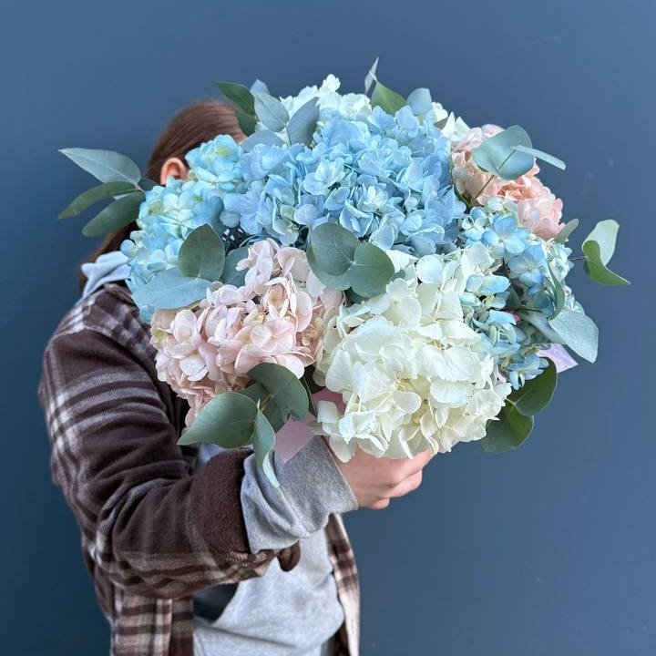 Гортензии в коробочке в Элисте