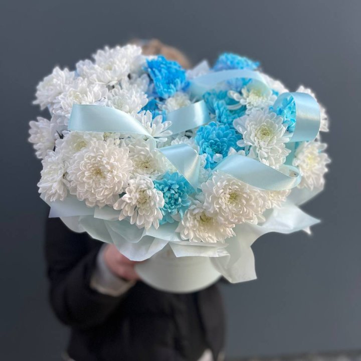 Хризнтемы в боксе в Элисте