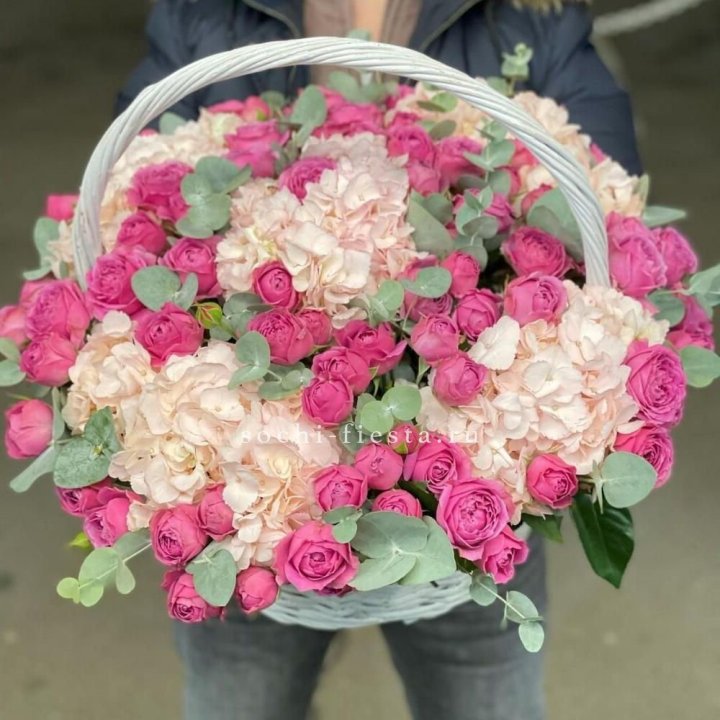 Корзина с гортензией и Мисти Баблс в Элисте