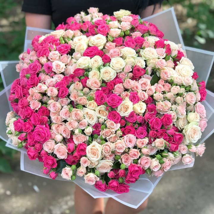 101 кустовая роза в Элисте