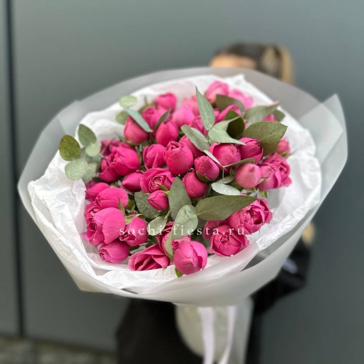 17 Мисти бабблс в Элисте