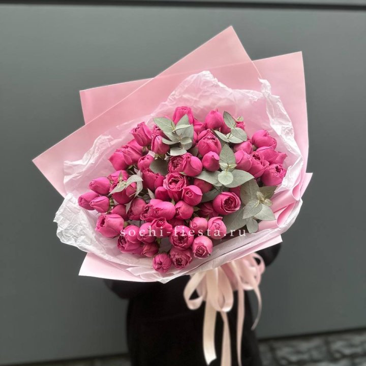 25 Мисти бабблс в Элисте