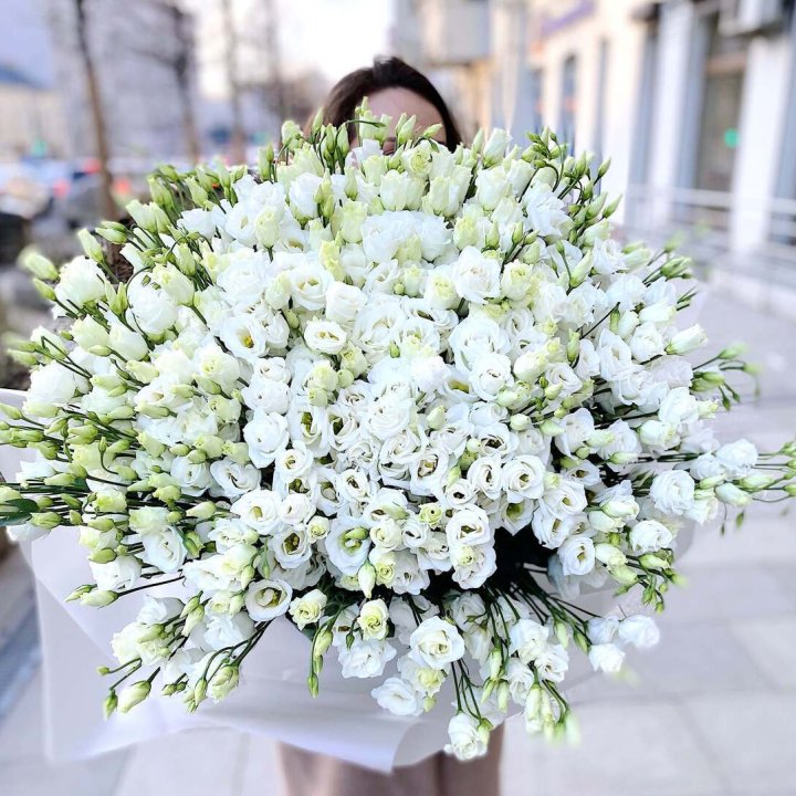 101 белая эустома в Элисте