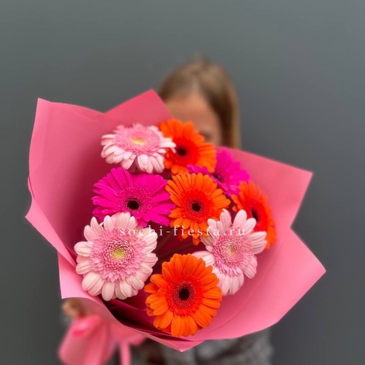 Краски в Элисте