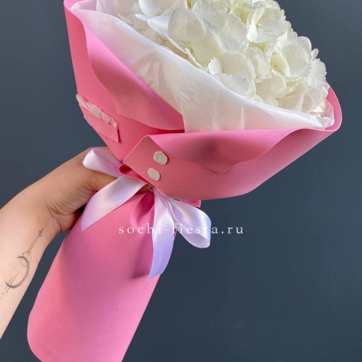 Гортензия в розовом пиджаке в Элисте