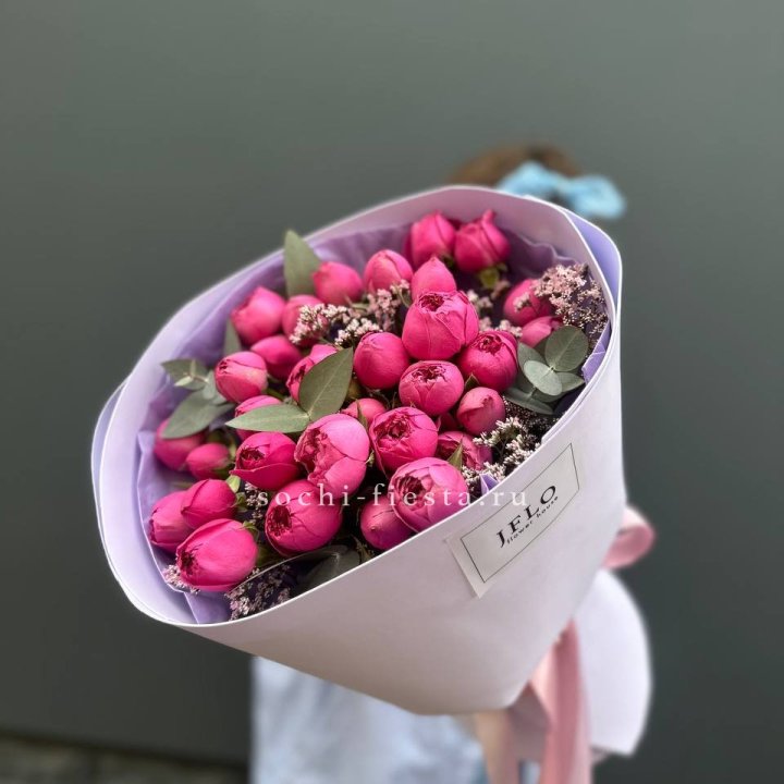 Мисти Баблс  "Кремиси" в Элисте