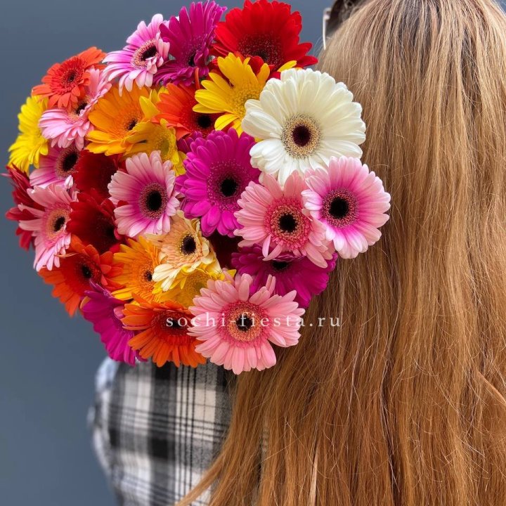 Охапка гербер  в Элисте