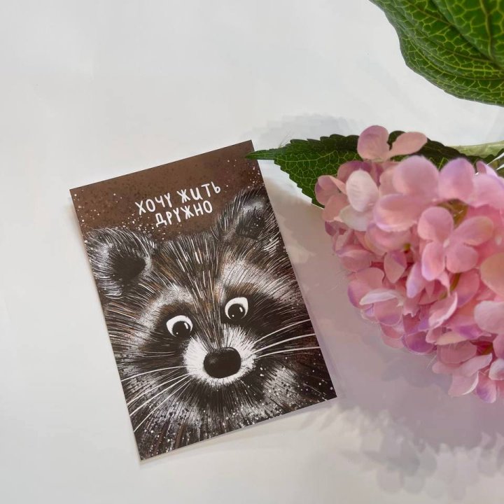 Открытка к букету "Енотик" в Элисте