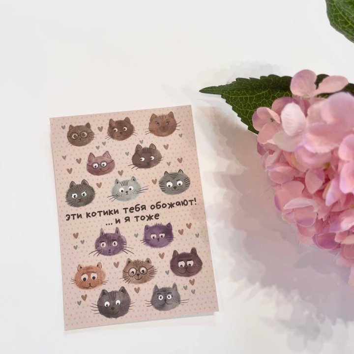 Открытка к букету "Котики" в Элисте