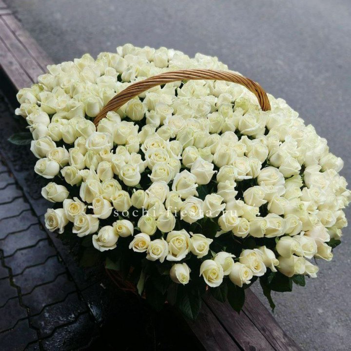 303 розы в корзине в Элисте