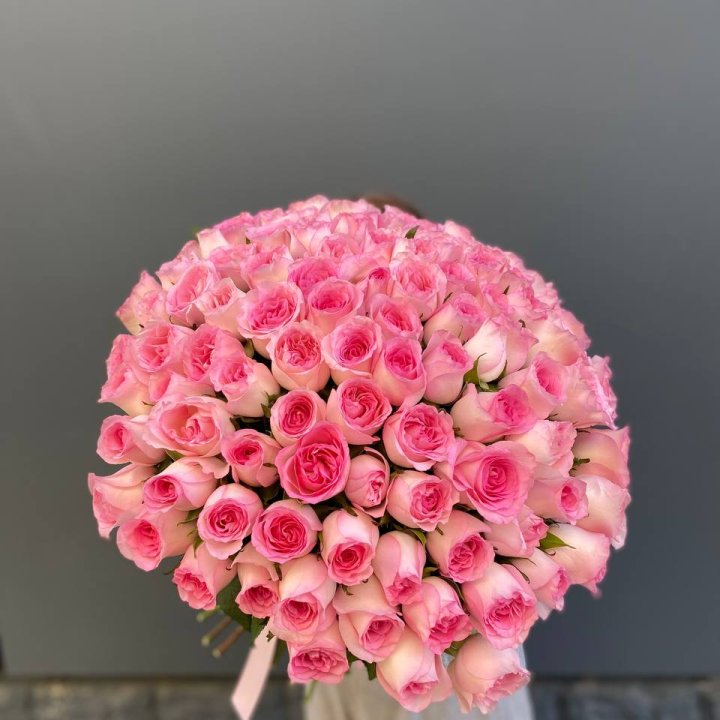 101 розовая роза в Элисте