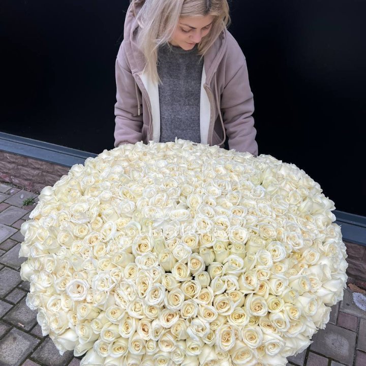 501 белая роза в корзине в Элисте