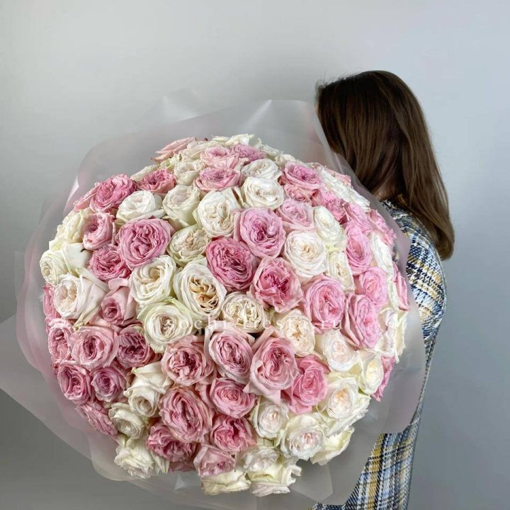 101 роз Охара в Элисте