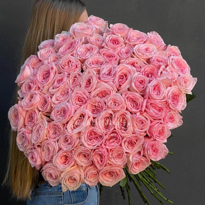 75 роз Охара в Элисте