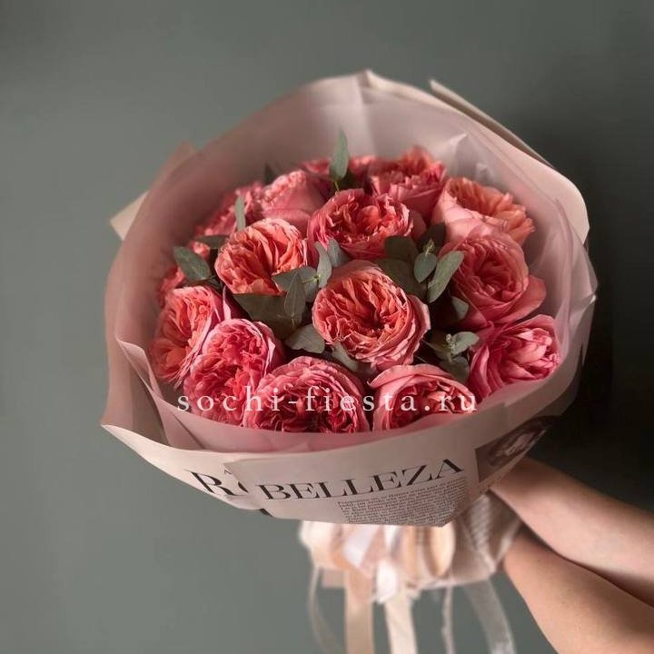 15 Пинк экспрешен в Элисте