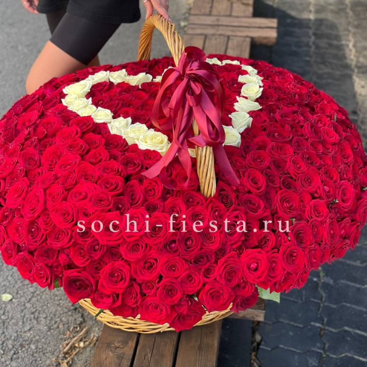 505 роз в Элисте