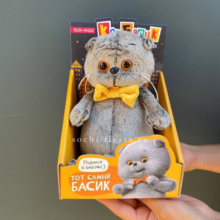 Кот Басик с бабочкой в Элисте