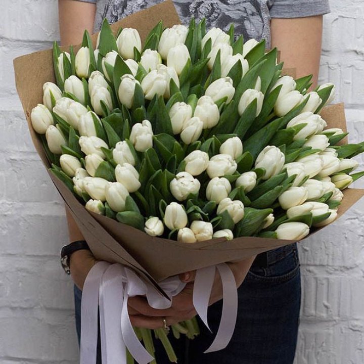 101 тюльпан сноу в Элисте