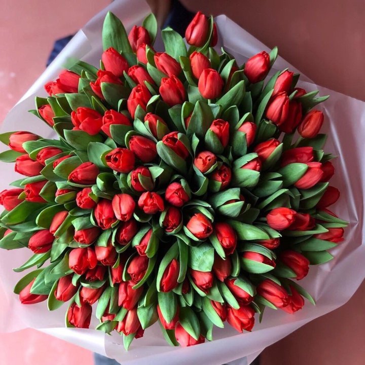 101 красный тюльпан в Элисте